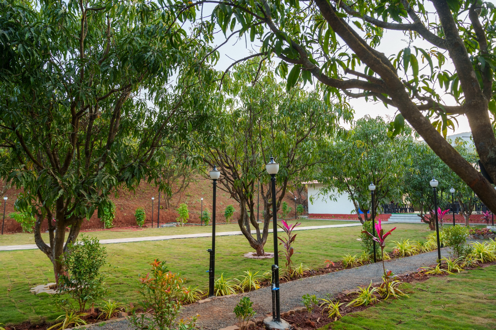Indoor & Outdoor Games